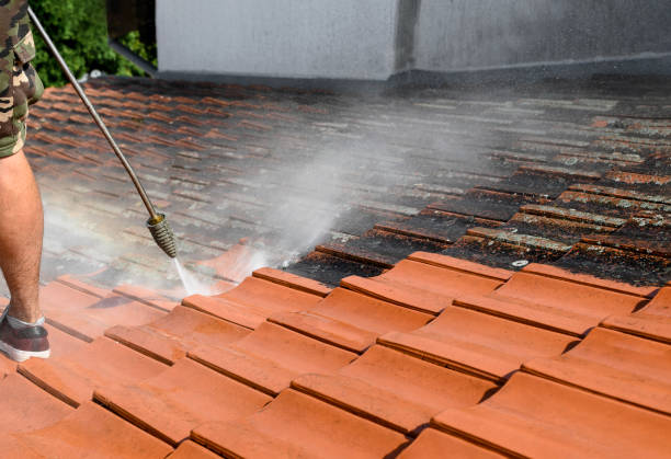 Best Pressure Washing Near Me  in Babbitt, MN