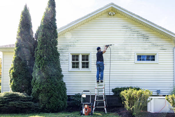 Best House Pressure Washing  in Babbitt, MN
