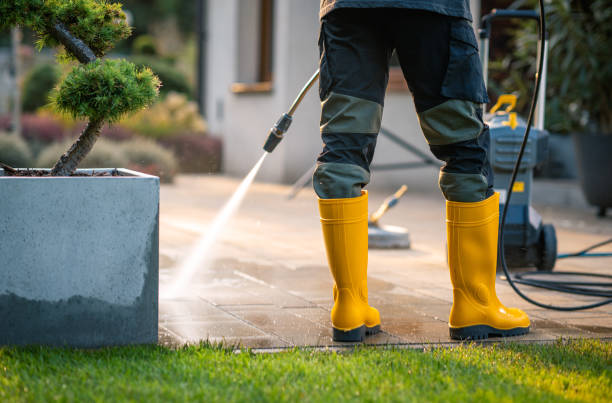 Best Best Pressure Washing Companies  in Babbitt, MN